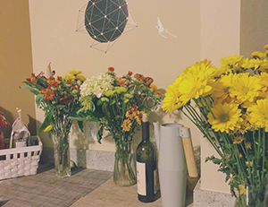 客厅摆什么植物最招财 招财植物有哪些