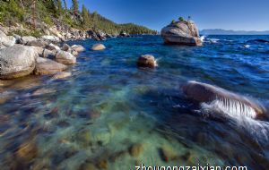 家里养什么花风水好 客厅摆放红掌寓意鸿运当头