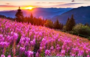 长期没有客人来 客房需要经常打理吗