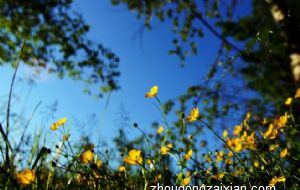 过门石这种装修对风水影响是好是坏呢