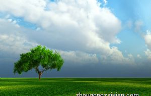 什么放在客厅和餐厅助力了运势进展