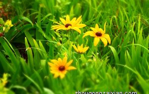 空调挡在哪些地方会坏风水