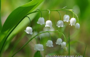 家居风水开门有三见 使得运势更兴旺