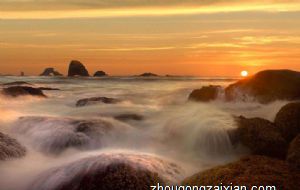 家里养龟单数好还是双数好呢 养乌龟有什么迷信说法 