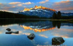 家中的玫瑰花能放在儿童房吗