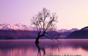 儿童房放玩偶会触犯风水禁忌吗