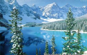 餐厅风水挂画知识 适合挂在餐厅的画像