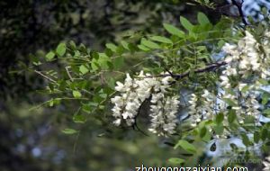 书房最佳风水方位 忌大而浮华