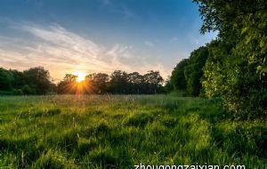 家里花草太旺盛是什么风水 可提升运势