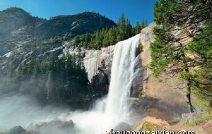 家里风水摆件前十名 龙龟居于首位