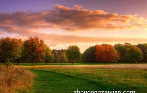 开店想招财 您必须谨记这些问题