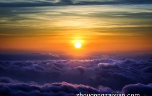 属蛇的人办公室养什么花最旺财