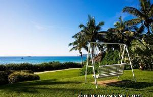 属马的人办公室养什么花最旺财