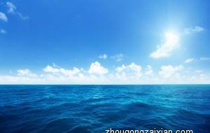 属龙的人办公室养什么花最旺财