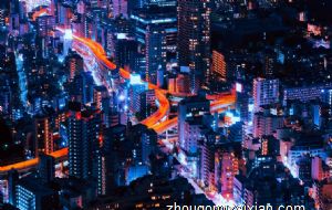 属鼠的人办公室养什么花最旺财