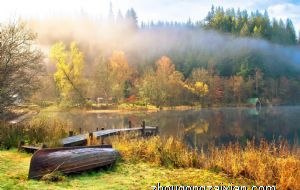 属猪的人办公室养什么花最旺财