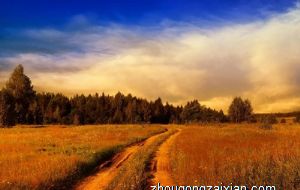 属鸡的人办公室养什么花最旺财