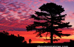 商场人气稀薄，可能是这几个地方风水不好