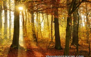 厨房的布置风水禁忌