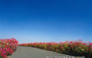 商业风水宜忌主要有什么 商业风水知识