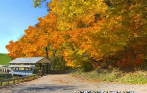 灶台什么颜色最佳 有何风水禁忌