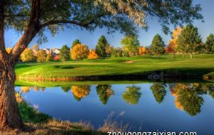 床枕头下放硬币是招财吗 起到什么风水作用