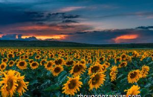 睡觉时床头一定不能放哪些东西 要及时规避