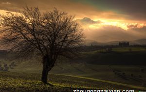 工厂绿化风水有诀窍，别小瞧了
