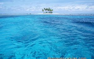 十种旺财又旺宅的植物 摆进家门提升风水