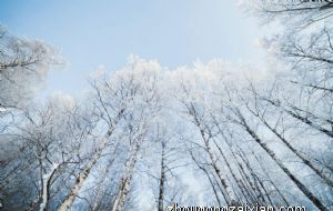 装饰有道 餐桌上不宜摆放这些东西