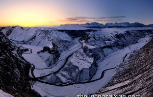店铺摆放龙须树会影响生意吗