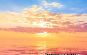 进门鞋柜摆什么可以旺财