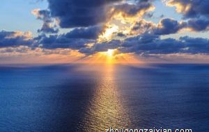 富贵树摆放在阳台上好吗