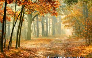 孩子在成长的时候 家居风水要注意什么