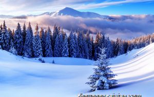 聚财最好的吉祥物 生财旺财