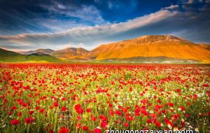 锦鲤纹身的禁忌 纹身纹什么招财辟邪