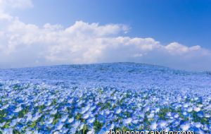 女人戴什么东西能女人 转运饰品