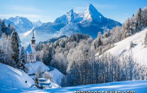 桂花树可不可以种在家门口 有什么作用