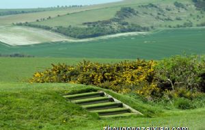 破损的钱币会破坏财运吗