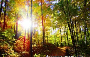 家里熏香风水大忌 风水用品