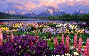 房子风水好有哪些吉兆 与自然万物和谐共处