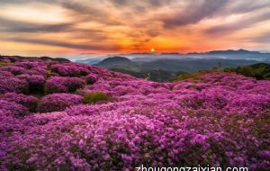 玉辨别主人的办法 可以辟邪