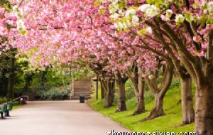 阴宅风水忌讳有哪些 要小心什么物件呢