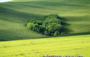 客厅财位中光源色彩的布局要遵循什么