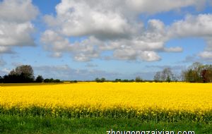 风水轮可以催财化煞吗 有什么说法