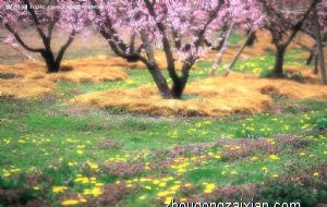 能赶走邪气 带来财运的饰品有哪些