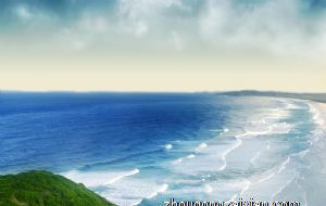 家里最旺财的十种花 十大寓意吉利的花