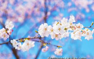 顶心煞破坏风水该如何化解呢