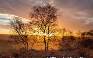 办公桌摆放白水晶有什么作用