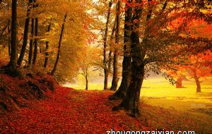 破坏阴宅风水最狠方法 有什么方法